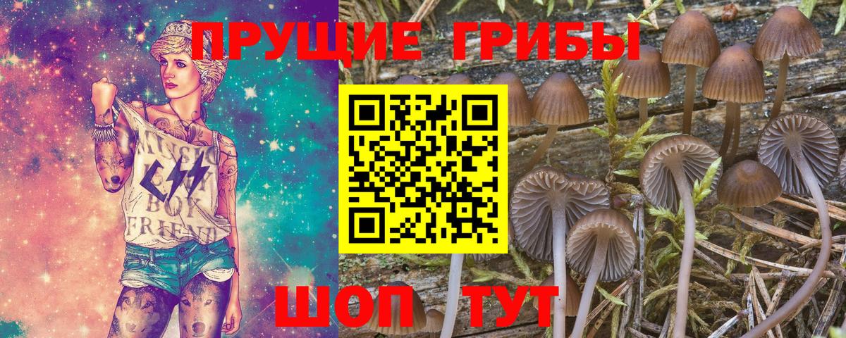 Галлюциногенные грибы GOLDEN TEACHER  хочу   Ярославль  Вход с VPN 